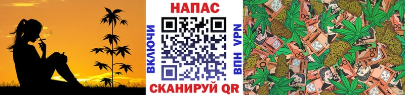Купить закладки  Топки  Конопля планчик 